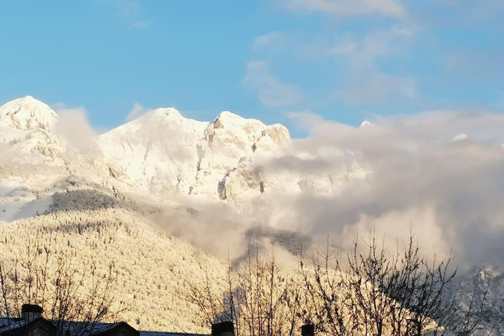 Apartmán Miniapp. A 2 Km Da Pedavena Exteriér fotografie
